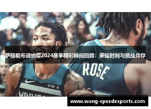 萨格勒布迪纳摩2024赛季精彩瞬间回顾：荣耀时刻与挑战并存